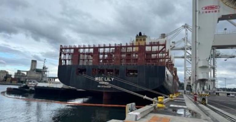 MSC Lily calling at SSA Terminals