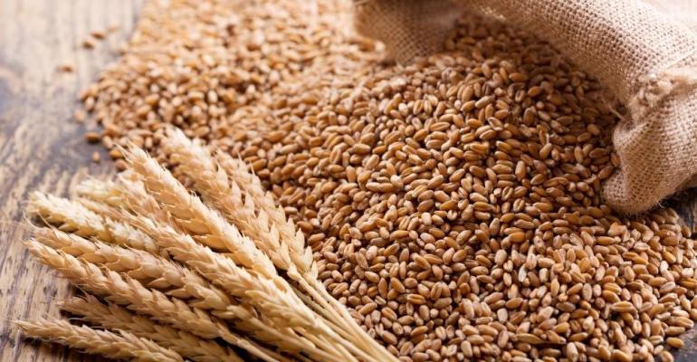 Wheat_grains.jpeg