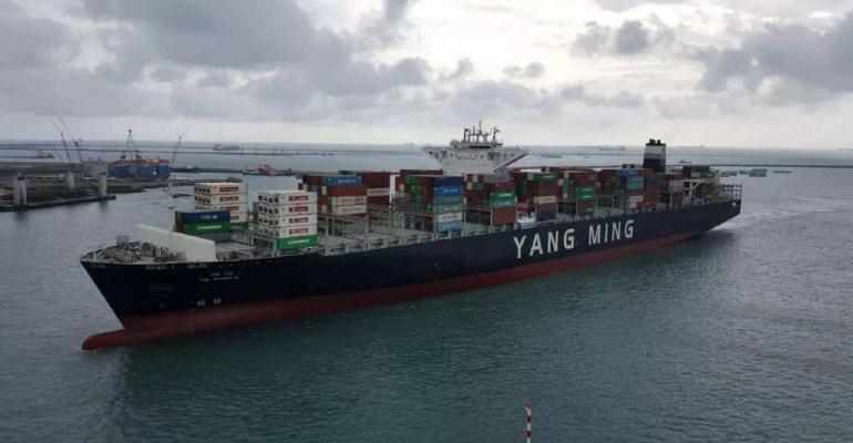 Yang Ming vessel (002).jpg
